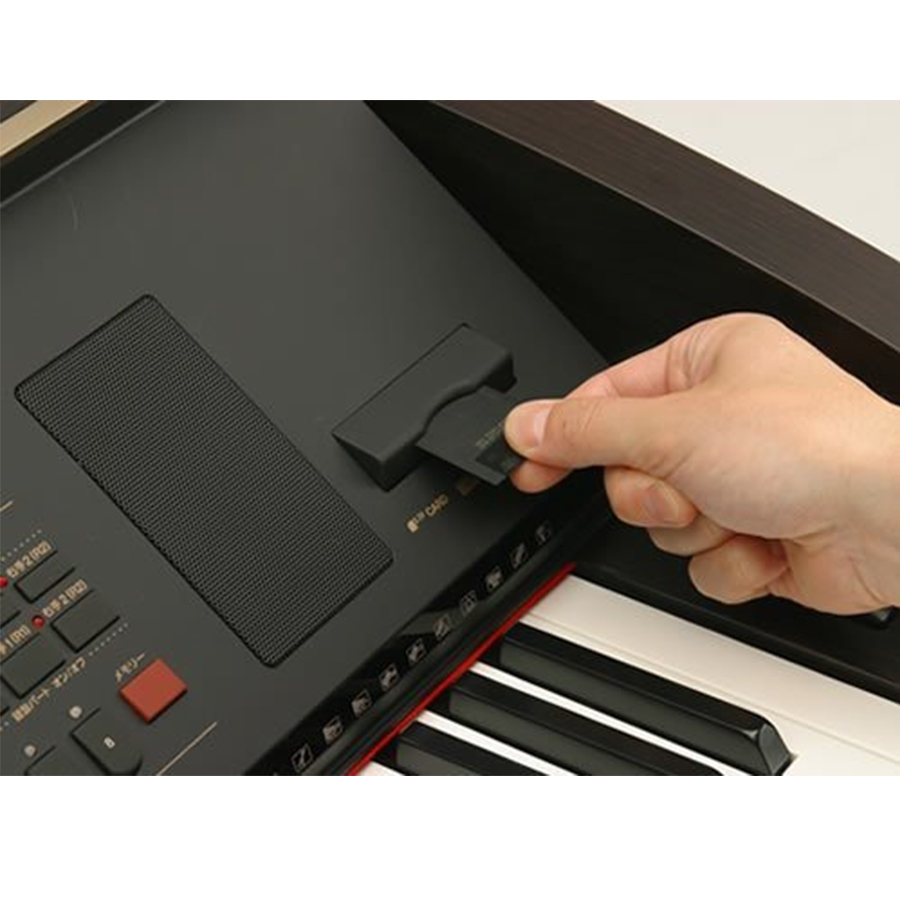 Music City – Tổng Kho Piano, Guitar, Organ | Dịch Vụ Giáo Dục Âm Nhạc