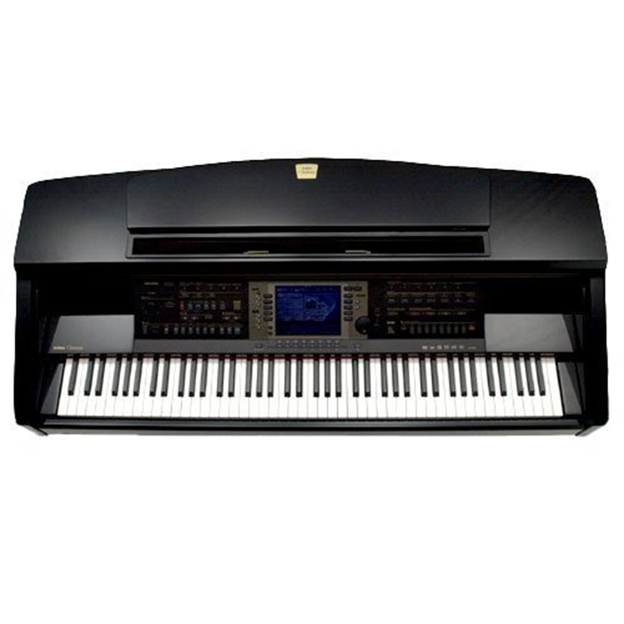 Music City – Tổng Kho Piano, Guitar, Organ | Dịch Vụ Giáo Dục Âm Nhạc