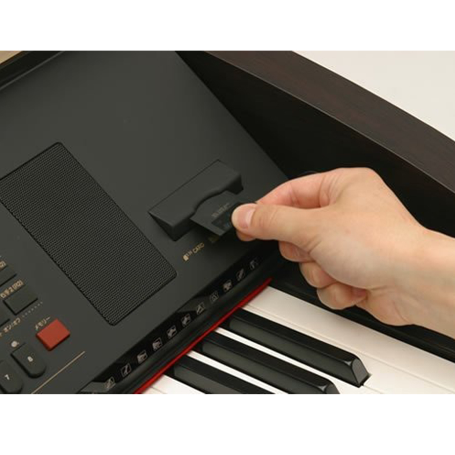 Music City – Tổng Kho Piano, Guitar, Organ | Dịch Vụ Giáo Dục Âm Nhạc