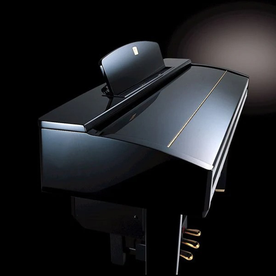 Music City – Tổng Kho Piano, Guitar, Organ | Dịch Vụ Giáo Dục Âm Nhạc