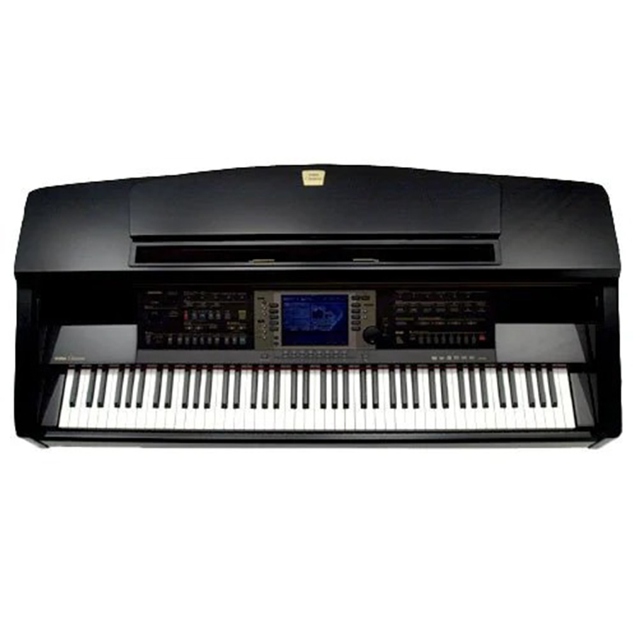 Music City – Tổng Kho Piano, Guitar, Organ | Dịch Vụ Giáo Dục Âm Nhạc