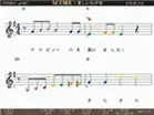 Music City – Tổng Kho Piano, Guitar, Organ | Dịch Vụ Giáo Dục Âm Nhạc