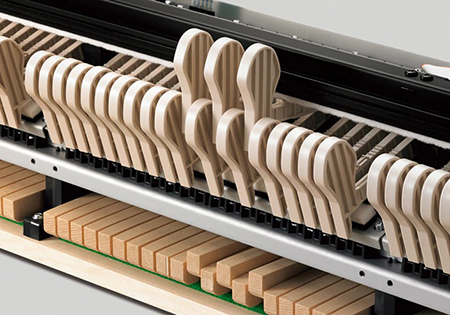 Music City – Tổng Kho Piano, Guitar, Organ | Dịch Vụ Giáo Dục Âm Nhạc