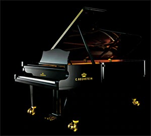 Music City – Tổng Kho Piano, Guitar, Organ | Dịch Vụ Giáo Dục Âm Nhạc