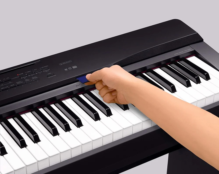 Music City – Tổng Kho Piano, Guitar, Organ | Dịch Vụ Giáo Dục Âm Nhạc