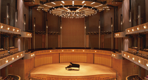 Music City – Tổng Kho Piano, Guitar, Organ | Dịch Vụ Giáo Dục Âm Nhạc