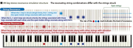 Music City – Tổng Kho Piano, Guitar, Organ | Dịch Vụ Giáo Dục Âm Nhạc