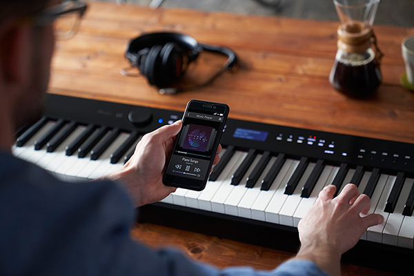Music City – Tổng Kho Piano, Guitar, Organ | Dịch Vụ Giáo Dục Âm Nhạc