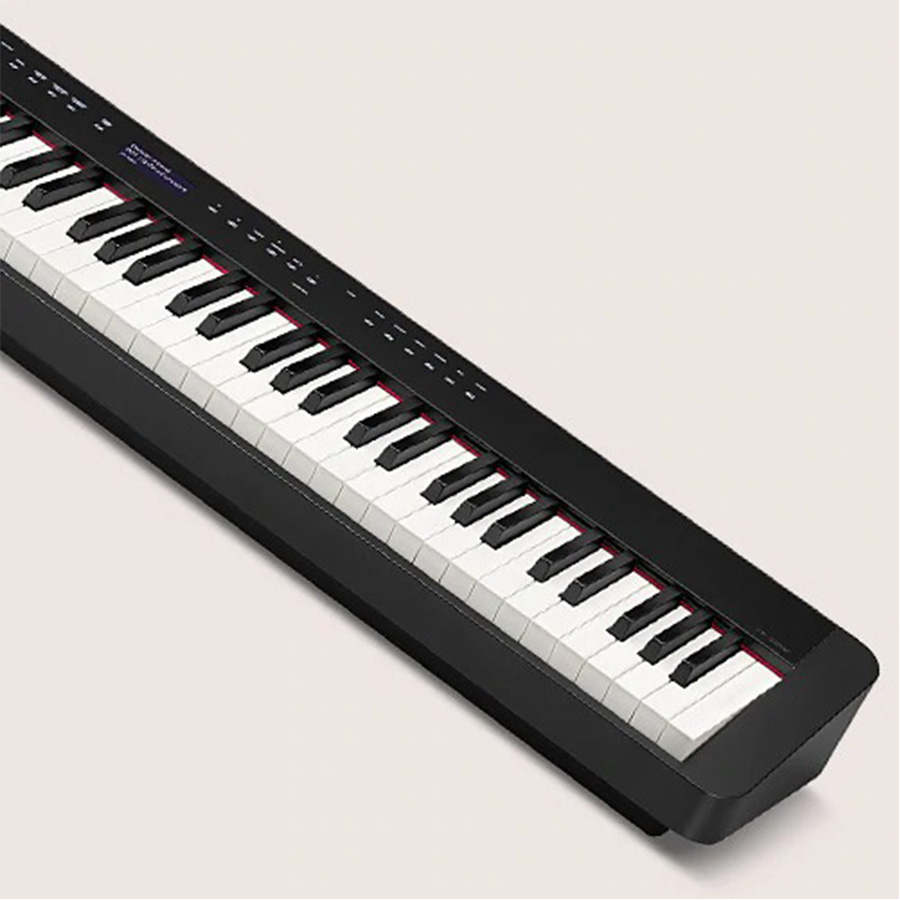 Music City – Tổng Kho Piano, Guitar, Organ | Dịch Vụ Giáo Dục Âm Nhạc