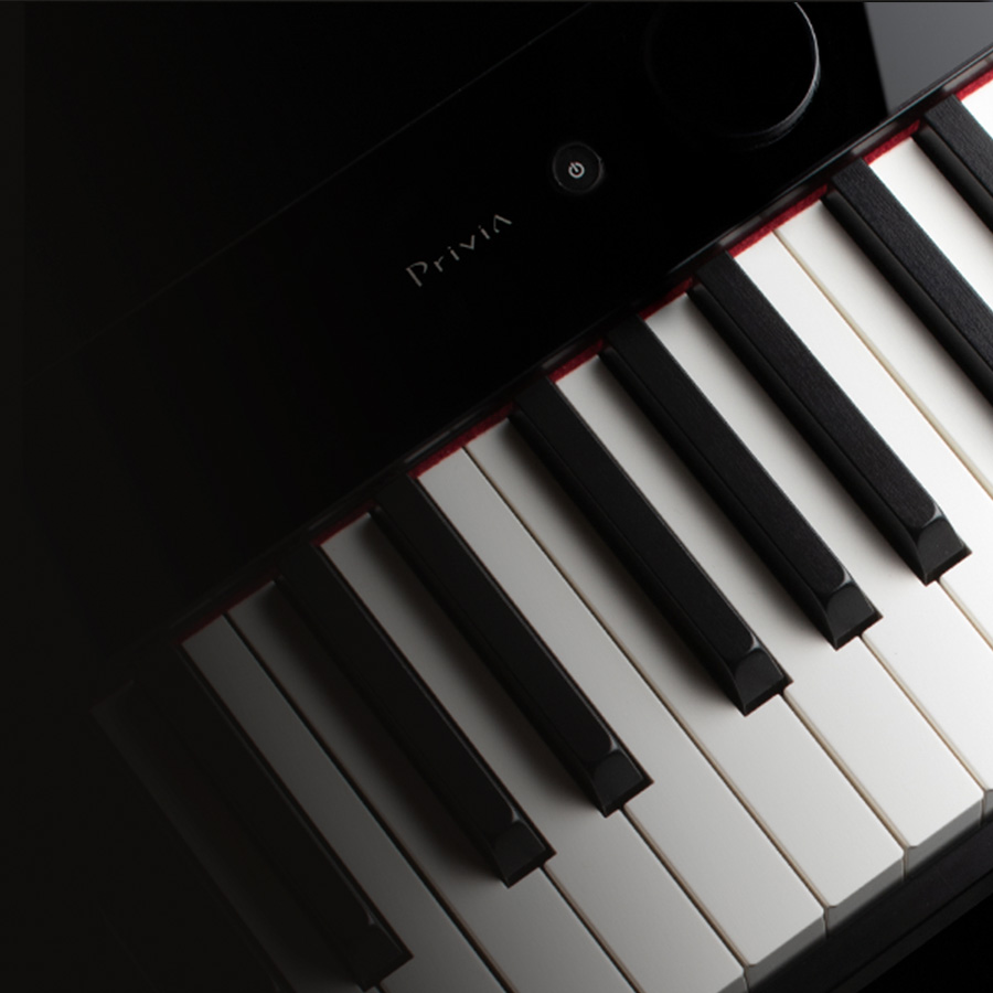 Music City – Tổng Kho Piano, Guitar, Organ | Dịch Vụ Giáo Dục Âm Nhạc