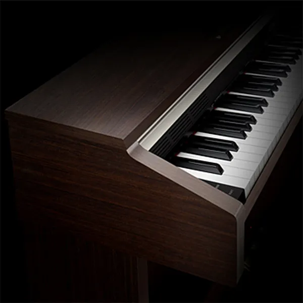 Music City – Tổng Kho Piano, Guitar, Organ | Dịch Vụ Giáo Dục Âm Nhạc