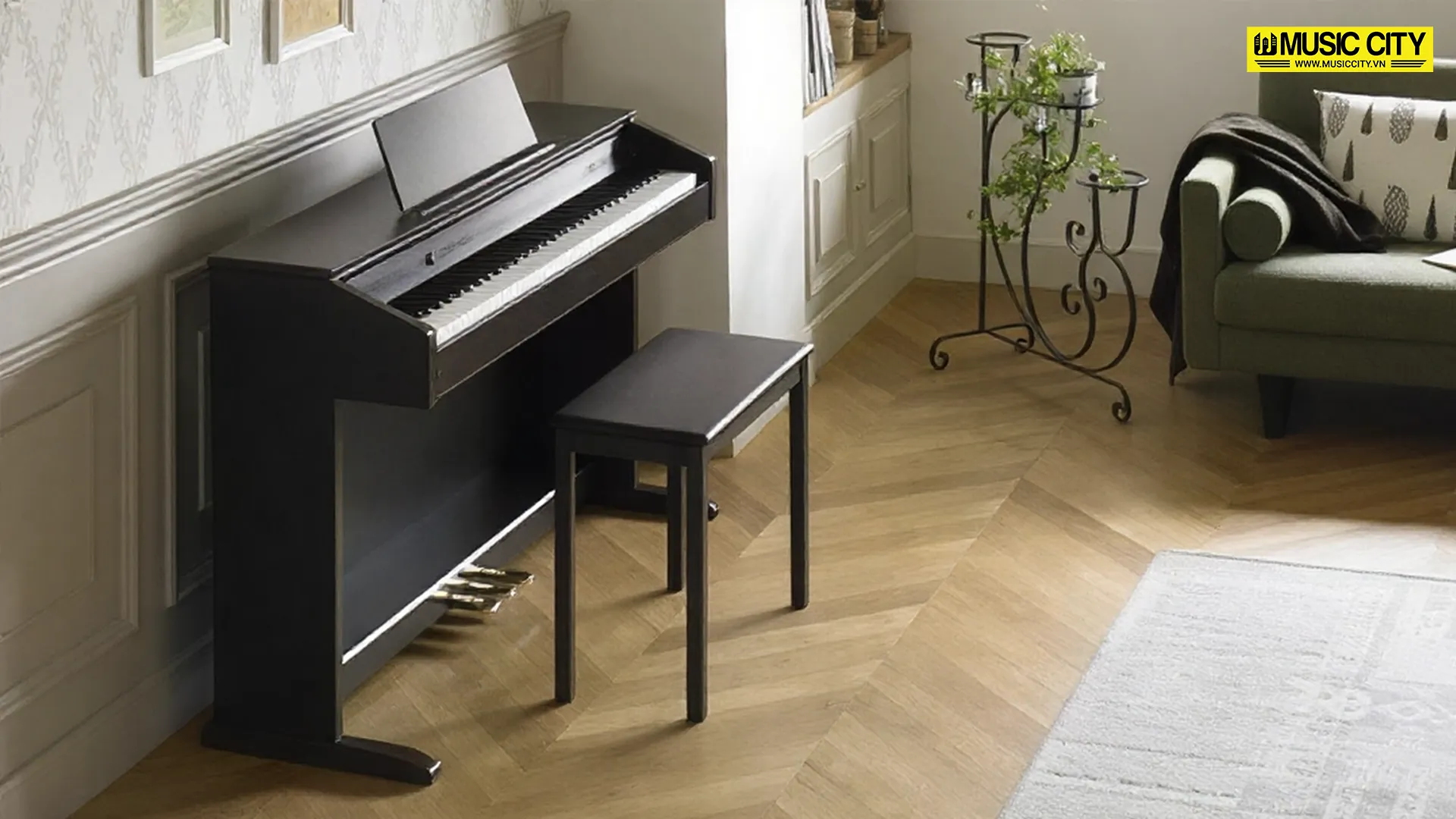 Music City – Tổng Kho Piano, Guitar, Organ | Dịch Vụ Giáo Dục Âm Nhạc