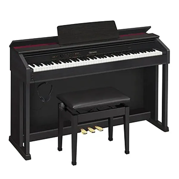 Music City – Tổng Kho Piano, Guitar, Organ | Dịch Vụ Giáo Dục Âm Nhạc