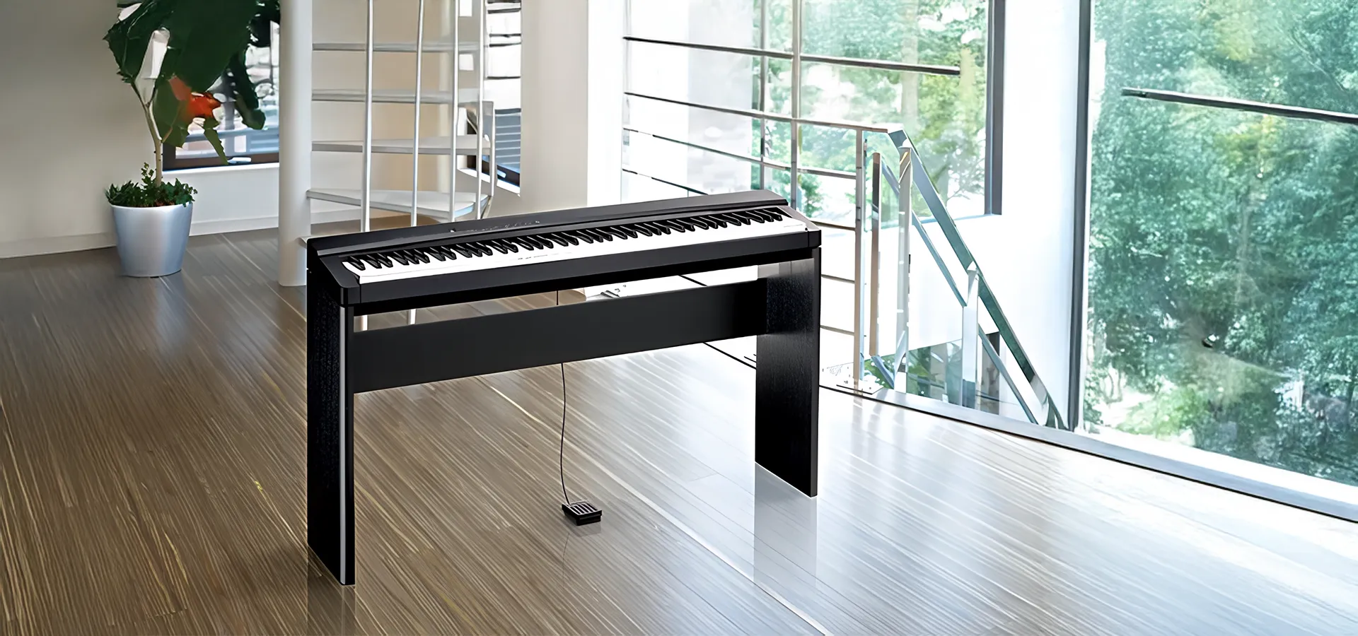 Music City – Tổng Kho Piano, Guitar, Organ | Dịch Vụ Giáo Dục Âm Nhạc