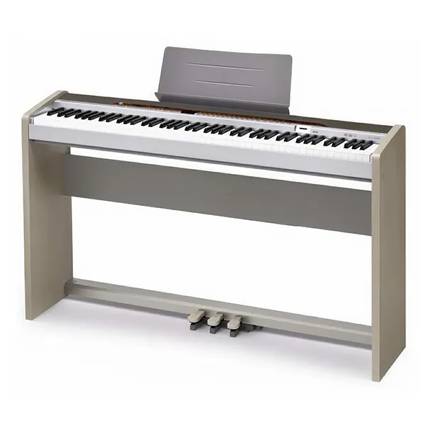 Music City – Tổng Kho Piano, Guitar, Organ | Dịch Vụ Giáo Dục Âm Nhạc