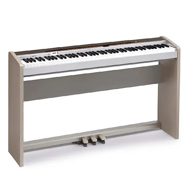 Music City – Tổng Kho Piano, Guitar, Organ | Dịch Vụ Giáo Dục Âm Nhạc
