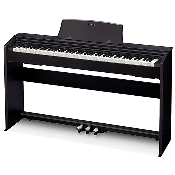Music City – Tổng Kho Piano, Guitar, Organ | Dịch Vụ Giáo Dục Âm Nhạc