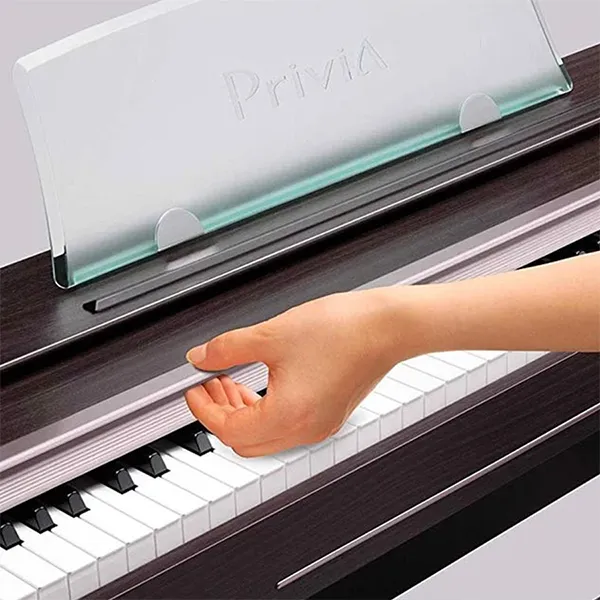 Music City – Tổng Kho Piano, Guitar, Organ | Dịch Vụ Giáo Dục Âm Nhạc