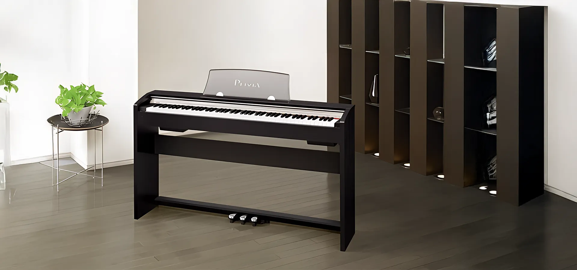 Music City – Tổng Kho Piano, Guitar, Organ | Dịch Vụ Giáo Dục Âm Nhạc