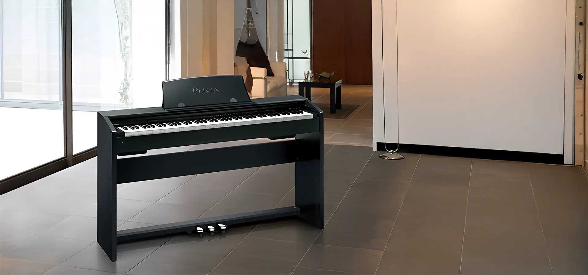 Music City – Tổng Kho Piano, Guitar, Organ | Dịch Vụ Giáo Dục Âm Nhạc