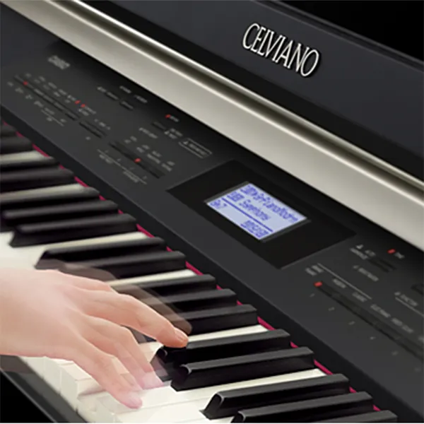 Music City – Tổng Kho Piano, Guitar, Organ | Dịch Vụ Giáo Dục Âm Nhạc