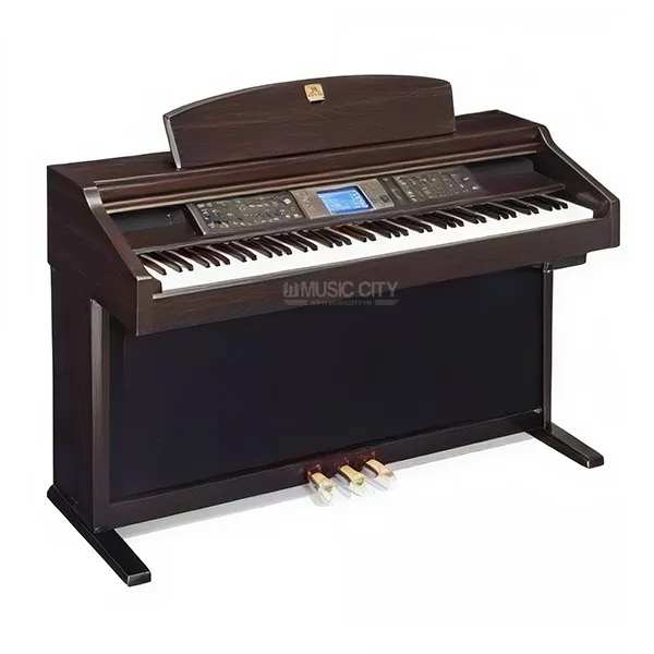Music City – Tổng Kho Piano, Guitar, Organ | Dịch Vụ Giáo Dục Âm Nhạc