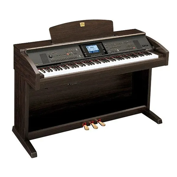 Music City – Tổng Kho Piano, Guitar, Organ | Dịch Vụ Giáo Dục Âm Nhạc