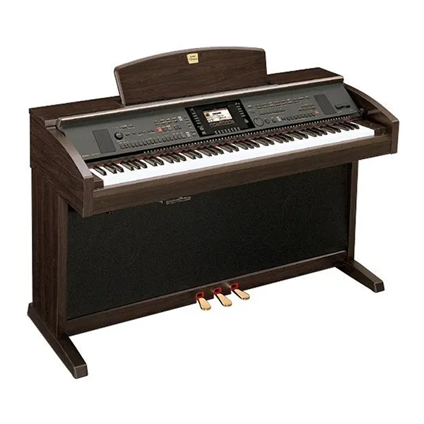 Music City – Tổng Kho Piano, Guitar, Organ | Dịch Vụ Giáo Dục Âm Nhạc