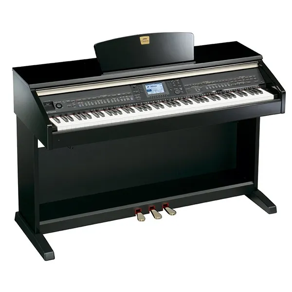 Music City – Tổng Kho Piano, Guitar, Organ | Dịch Vụ Giáo Dục Âm Nhạc