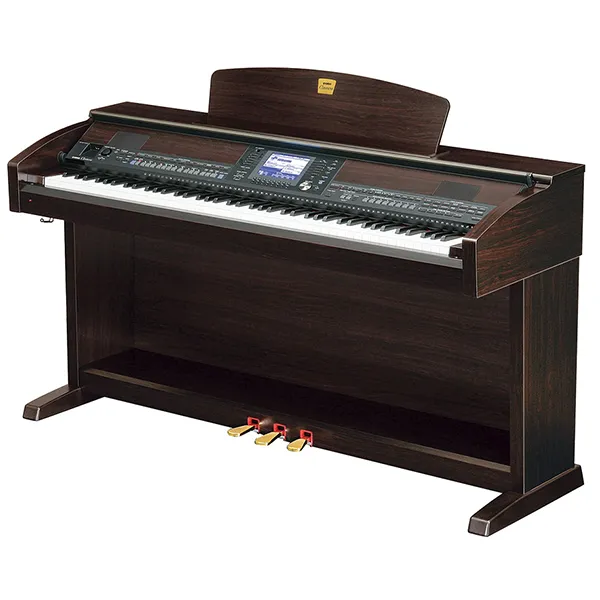 Music City – Tổng Kho Piano, Guitar, Organ | Dịch Vụ Giáo Dục Âm Nhạc