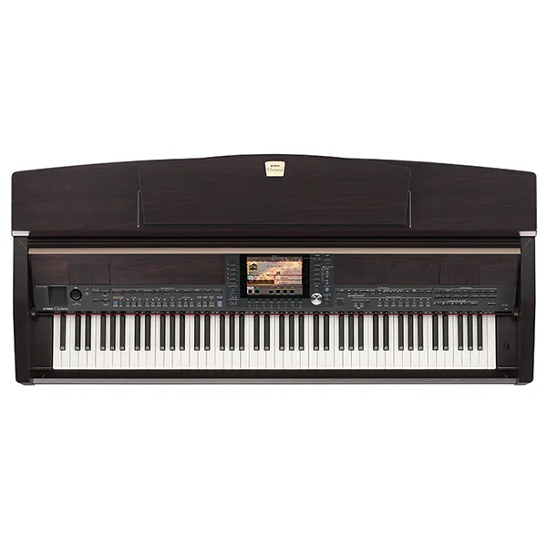 Music City – Tổng Kho Piano, Guitar, Organ | Dịch Vụ Giáo Dục Âm Nhạc