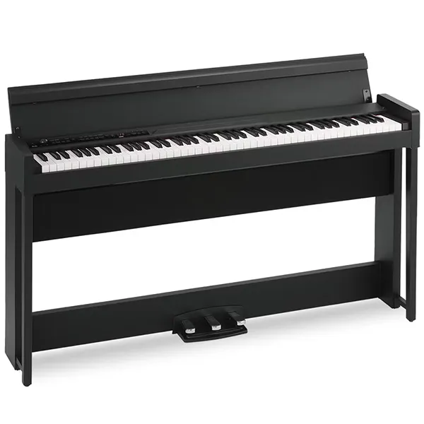 Music City – Tổng Kho Piano, Guitar, Organ | Dịch Vụ Giáo Dục Âm Nhạc