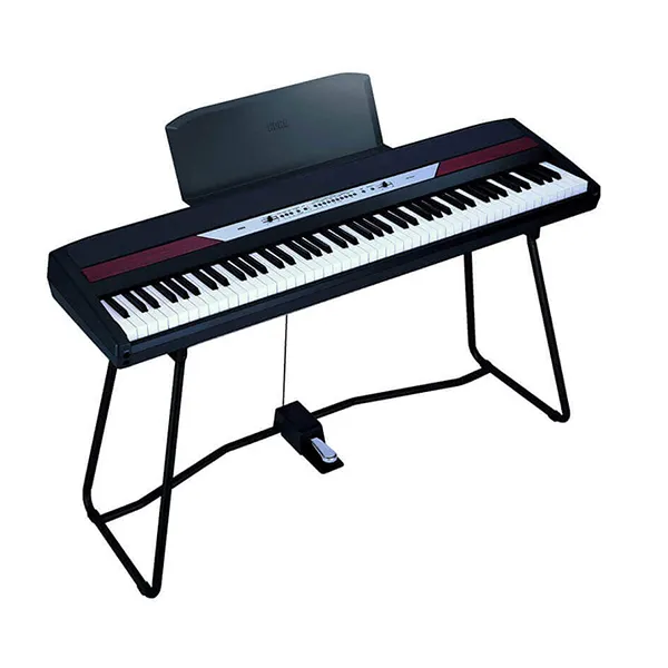 Music City – Tổng Kho Piano, Guitar, Organ | Dịch Vụ Giáo Dục Âm Nhạc