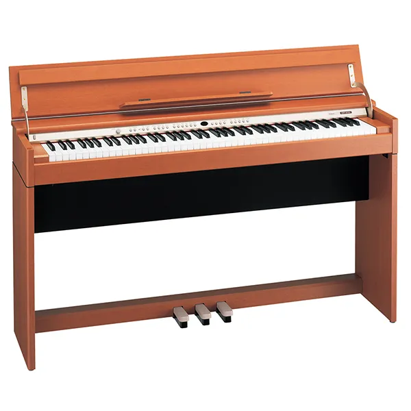 Music City – Tổng Kho Piano, Guitar, Organ | Dịch Vụ Giáo Dục Âm Nhạc