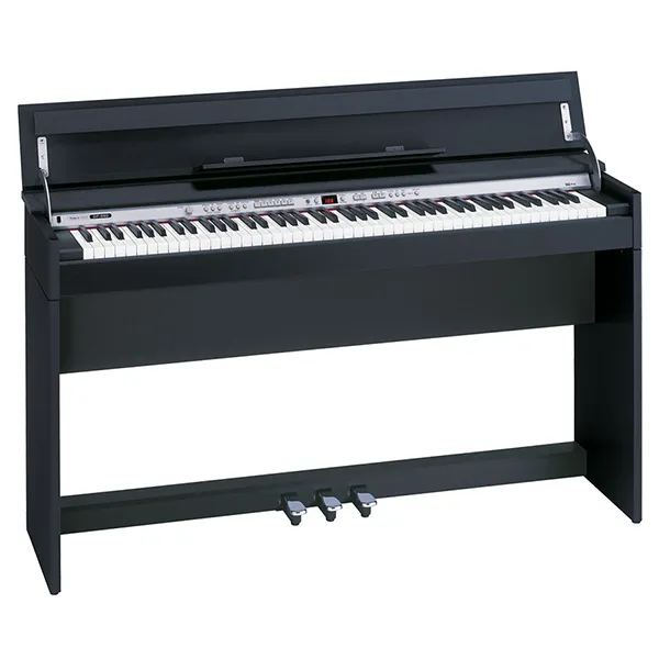 Music City – Tổng Kho Piano, Guitar, Organ | Dịch Vụ Giáo Dục Âm Nhạc