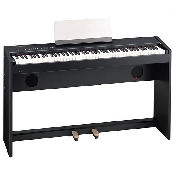 Music City – Tổng Kho Piano, Guitar, Organ | Dịch Vụ Giáo Dục Âm Nhạc