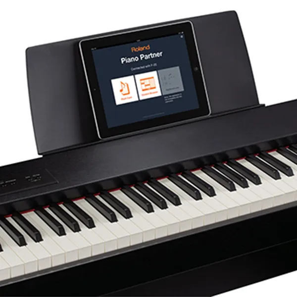Music City – Tổng Kho Piano, Guitar, Organ | Dịch Vụ Giáo Dục Âm Nhạc