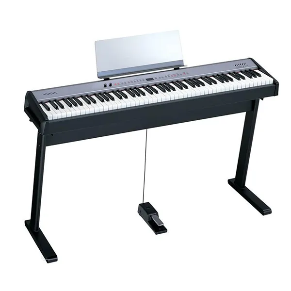 Music City – Tổng Kho Piano, Guitar, Organ | Dịch Vụ Giáo Dục Âm Nhạc