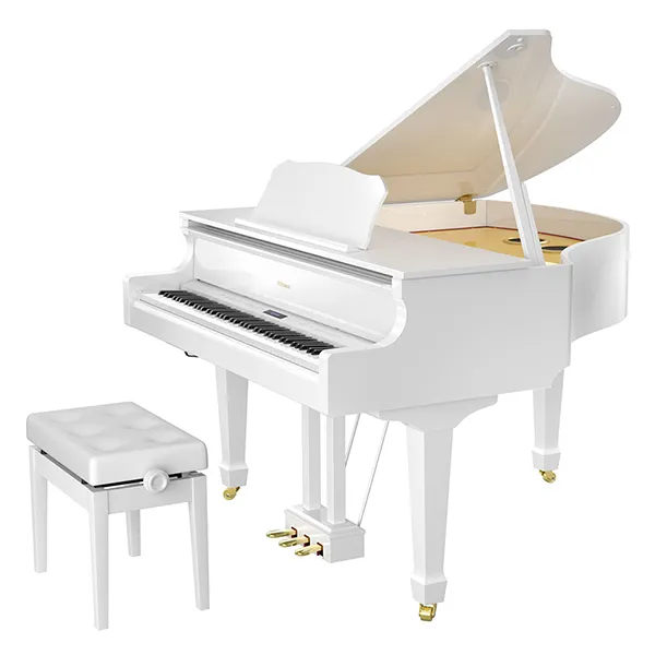 Music City – Tổng Kho Piano, Guitar, Organ | Dịch Vụ Giáo Dục Âm Nhạc