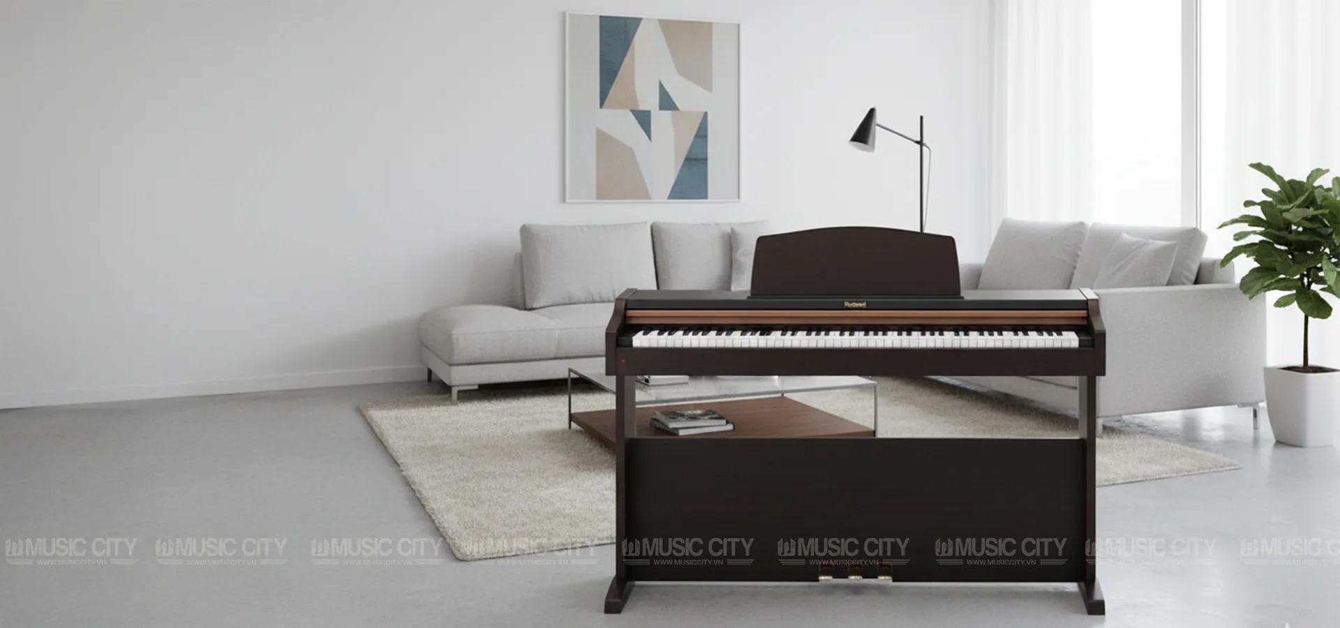 Music City – Tổng Kho Piano, Guitar, Organ | Dịch Vụ Giáo Dục Âm Nhạc