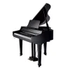 dan-piano-roland-hp109-musiccity