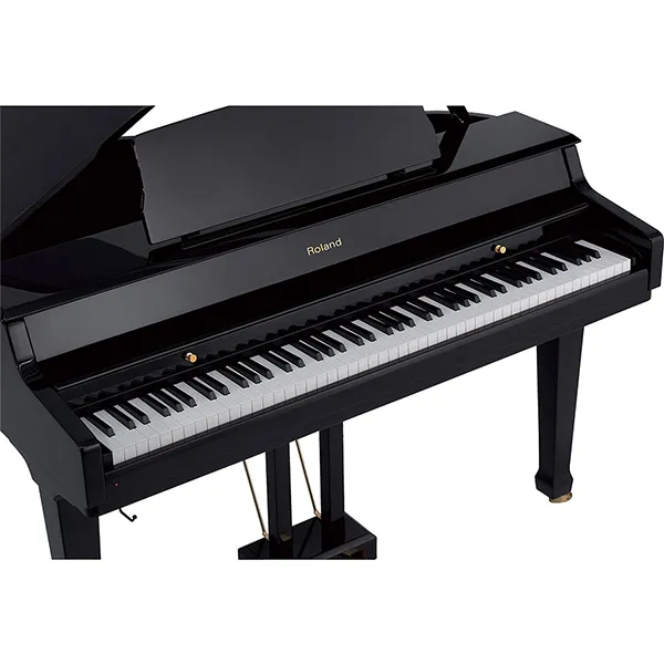 Music City – Tổng Kho Piano, Guitar, Organ | Dịch Vụ Giáo Dục Âm Nhạc