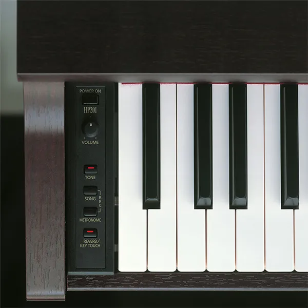 Music City – Tổng Kho Piano, Guitar, Organ | Dịch Vụ Giáo Dục Âm Nhạc
