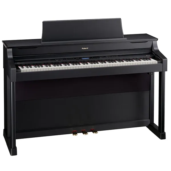 Music City – Tổng Kho Piano, Guitar, Organ | Dịch Vụ Giáo Dục Âm Nhạc