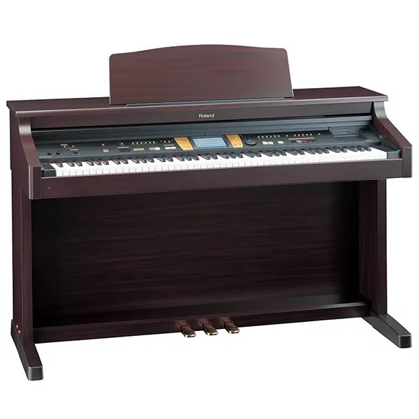 Music City – Tổng Kho Piano, Guitar, Organ | Dịch Vụ Giáo Dục Âm Nhạc