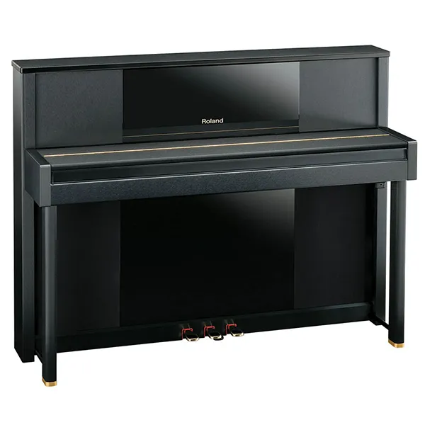Music City – Tổng Kho Piano, Guitar, Organ | Dịch Vụ Giáo Dục Âm Nhạc