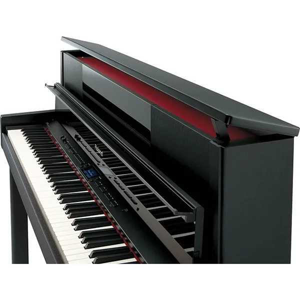 Music City – Tổng Kho Piano, Guitar, Organ | Dịch Vụ Giáo Dục Âm Nhạc