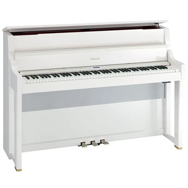 Music City – Tổng Kho Piano, Guitar, Organ | Dịch Vụ Giáo Dục Âm Nhạc