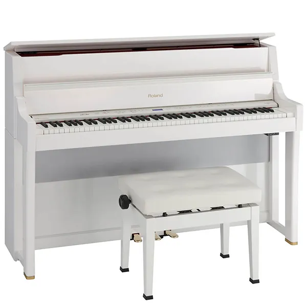 Music City – Tổng Kho Piano, Guitar, Organ | Dịch Vụ Giáo Dục Âm Nhạc