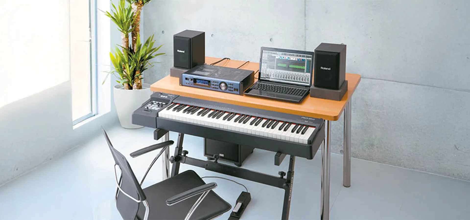 Music City – Tổng Kho Piano, Guitar, Organ | Dịch Vụ Giáo Dục Âm Nhạc